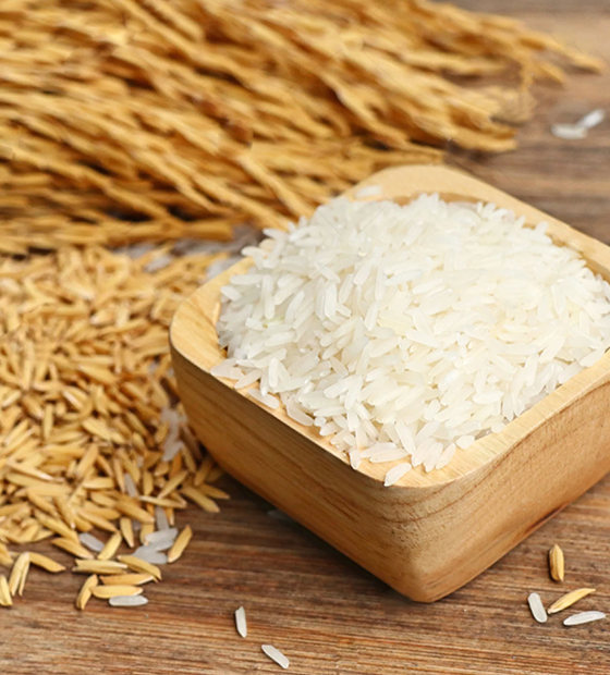 From export-grade Basmati to specialty grains, our rice is carefully sourced to meet your needs for flavor, aroma, and consistency, empowering you to lead your market.