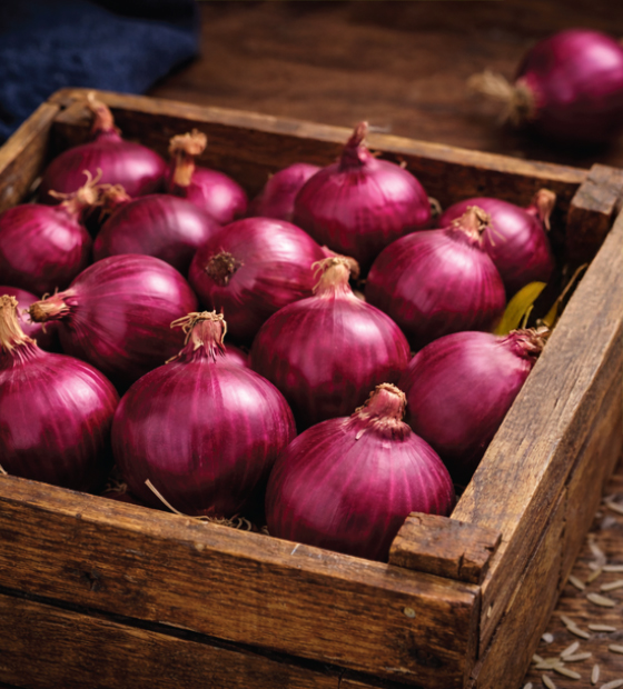 Fresh red onions supplied for wholesale and export markets, graded and packed to meet defined size, appearance, and handling requirements.