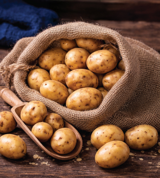 Potatoes supplied for wholesale and export markets, graded and prepared to meet defined size, appearance, and handling requirements.