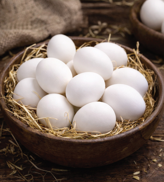 White table eggs supplied for wholesale, retail, and foodservice distribution, graded and handled to ensure consistency, hygiene, and structural integrity throughout storage and transit.