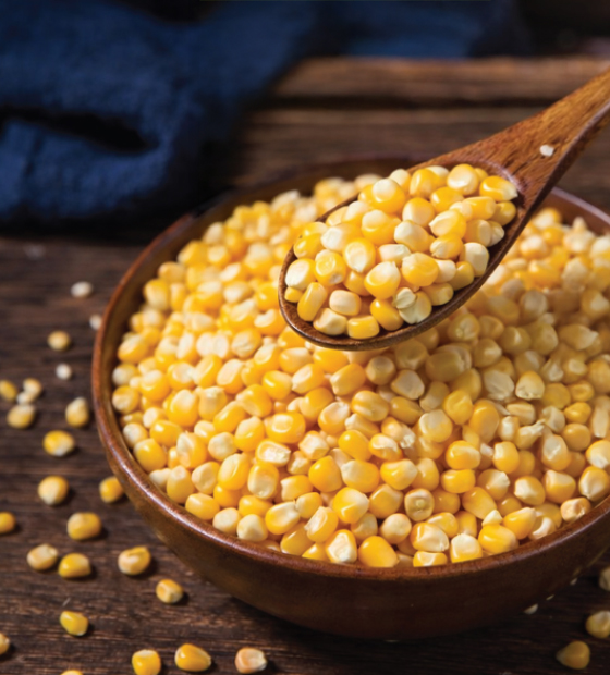 Yellow maize supplied for feed applications, handled and stored to meet defined quality, safety, and storage parameters.